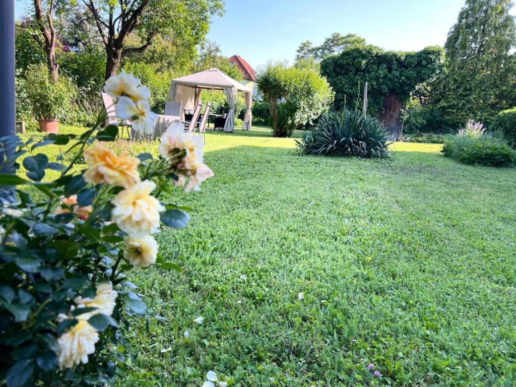 Appartment Rosengarten Baden bei Wien Esterno foto